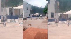 Ataque armado contra estación de Policía en Villacaro, Norte de Santander