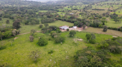 Nuevo lote donde se reubicará a firmantes del ETCR Caño Indio.