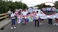 Libertad para colmenares