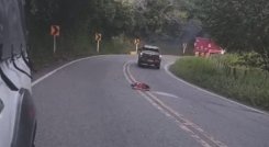 Muerte accidente en El Zulia. 