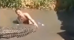 Turista concunde Cocodrilo con estatua