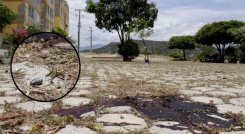 Asesinato Cormoranes