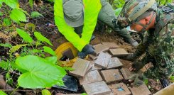 Más de 660 kilogramos de la sustancia ilícita, prensada en bloques y oculta en caletas/Foto cortesía