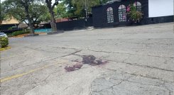 Asesinato CC Bolívar
