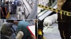 Rescate de un perro en Medellín. 