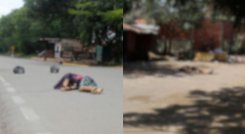 Cadáveres 14 de diciembre