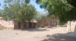 Encuentran múltiples cadáveres 