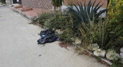 Asesinato Pupis La Unión