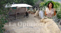 En el corredor del frente de la humilde vivienda fue encontrada muerta Otilia Ojeda Flórez, de 64 años. / Foto: Stefany Peñaloza-La Opinión