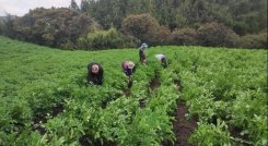 Más de 10 mil campesinos en Chitagá se verán afectados por el incremento en el avalúo predial.