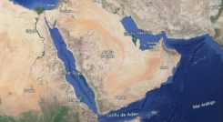 Peninsula arabica
