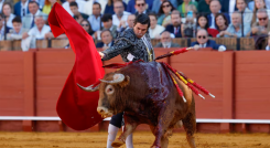 Corrida de toros.png