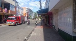 ATAQUE DE ABEJAS EN CÚCUTA 