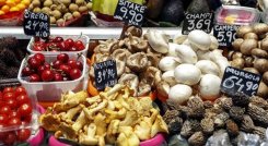 EXPORTACION DE ALIMENTOS 