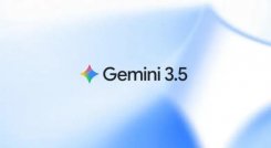 GEMINI 35
