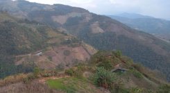 La tala indiscriminada de bosques preocupa a las autoridades ambientales de la provincia de Ocaña y sur del Cesar.