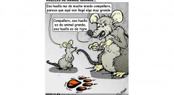 Huellas de animal grande
