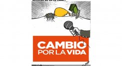 Alcocer no da la cara..