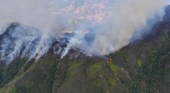 Los incendios forestales han dejado grandes pérdidas económicas en zona rural de Ocaña.