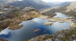 Delimitar el ecosistema por etapas y la creación de nuevas áreas de reserva forestal.