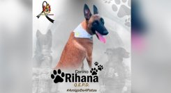 Rihana