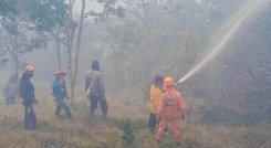 Incendio forestal arrasa con 700 hectáreas en Ocaña y genera alerta por contaminación