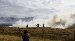 Continúa la emergencia: Incendios forestales han afectado más de 22.000 hectáreas en Tolima