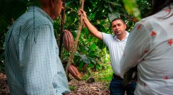 Productores. / Foto:  cortesía de Fondo Colombia en Paz