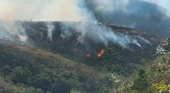Incendio en Ábrego