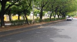 Los Patios Cementerios
