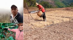 Son muy pocos los productores que se adelantan a las pérdidas y se soportan en un seguro agropecuario. / Fotos cortesía