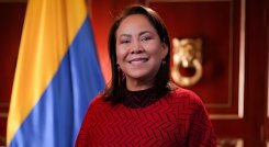 yolanda-wong-demanda-perdida-investidura-consejodeestado