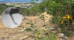 Asesinato Antonia Santos