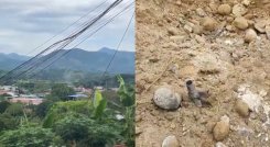 Ataque con drones El Tarra.