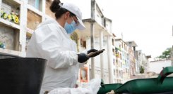 Desde ayer y hasta el 30 de octubre habrá restricciones para el ingreso al cementerio municipal./Foto: Cortesía