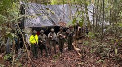 Destruyen complejo del Eln que producía cocaína en Sardinata