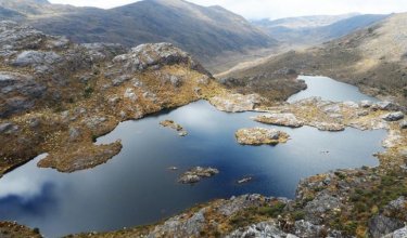 Delimitar el ecosistema por etapas y la creación de nuevas áreas de reserva forestal.