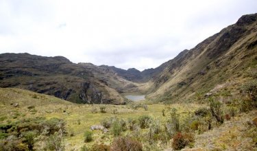 Páramo de Santurbán - Carlos Ramírez.