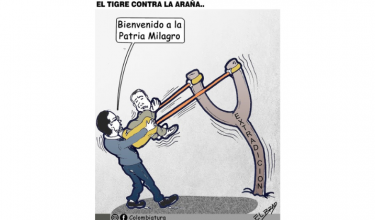 El tigre contra la araña...