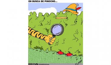 En busca de pinocho...
