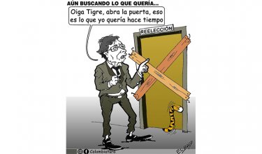 Aún buscando lo que quería...