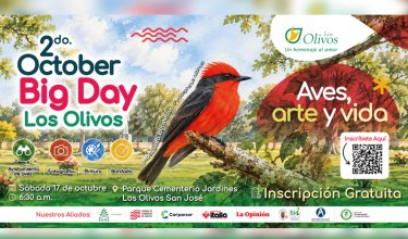 El Parque de Vida Los Olivos llega a 86 especies de aves registradas y se prepara para su segundo October Big Day