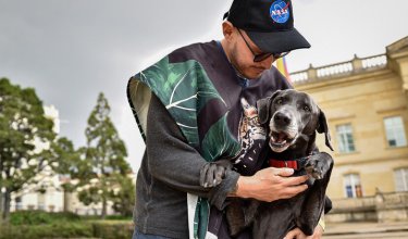 Tribunal ordena reglamentar en tres meses la presencia de mascotas en los lugares de trabajo