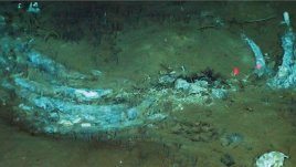 CEMENTERIO DE BALLENAS