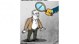 Caricatura, Timochenko bajo la lupa del tigre.