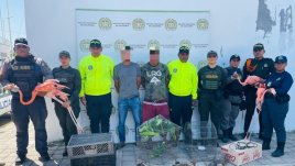 Rescatan 109 animales y desmantelan red de tráfico de fauna en Atlántico y Bolívar
