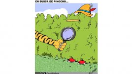En busca de pinocho...