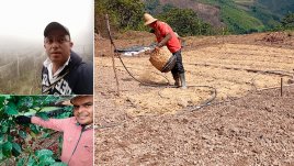 Son muy pocos los productores que se adelantan a las pérdidas y se soportan en un seguro agropecuario. / Fotos cortesía