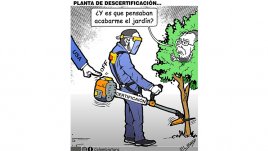 Planta de descertificación