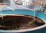 El intenso verano afecta duramente el corregimiento de Aguas Claras de Ocaña.